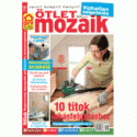 Ötletmozaik 2011 március - Címlap